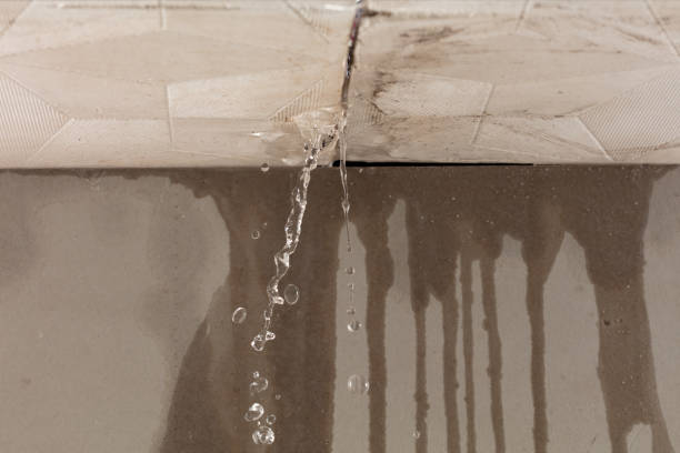 Professional Sewage Cleanup technician working in French Camp, CA
